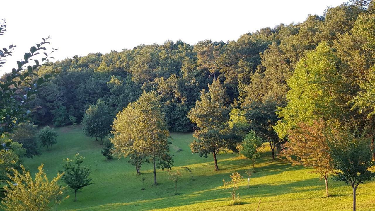 Вилла Domaine De La Queyrie Сарла-ла-Канеда Экстерьер фото
